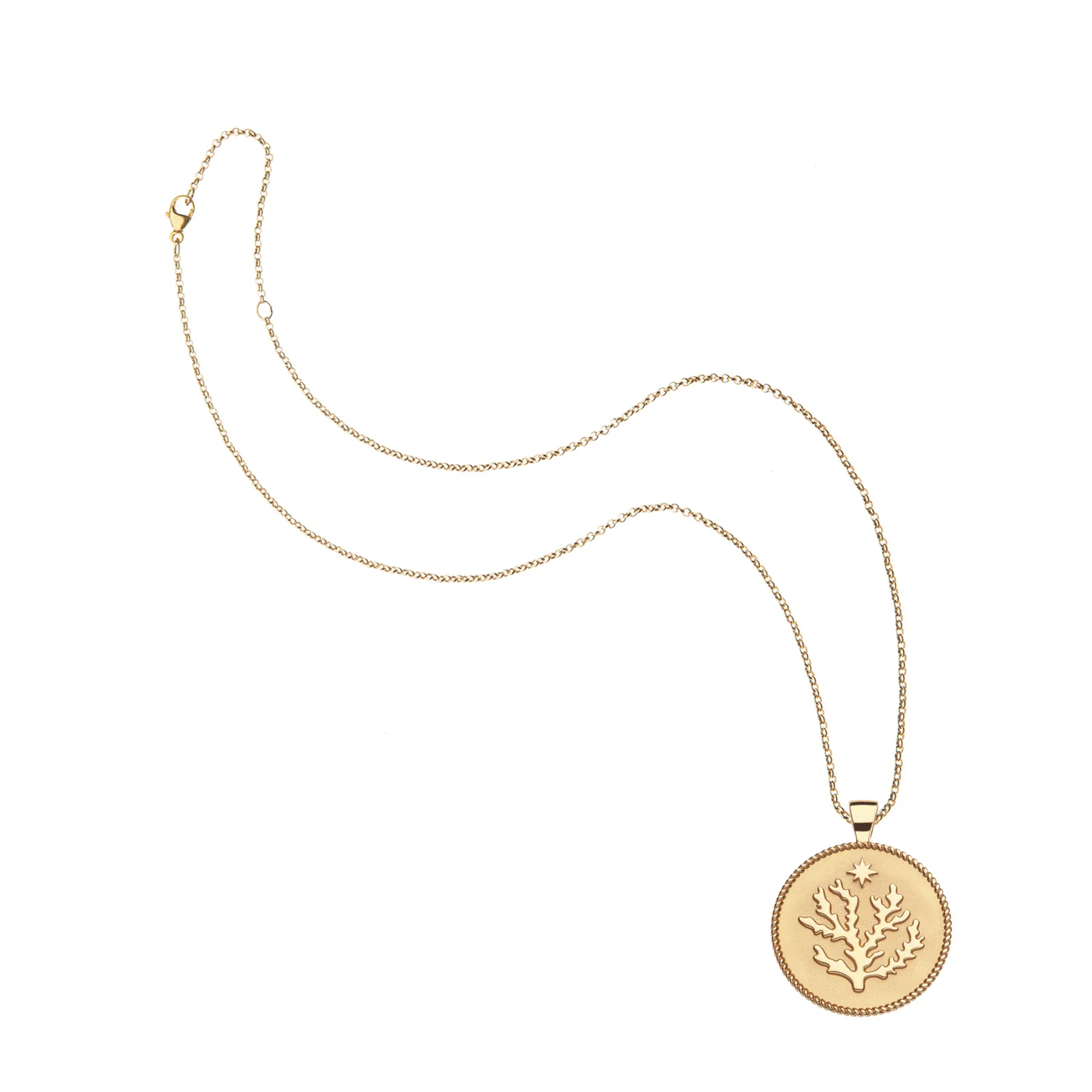 BERMUDA JW Original Pendant Coin - Image 5