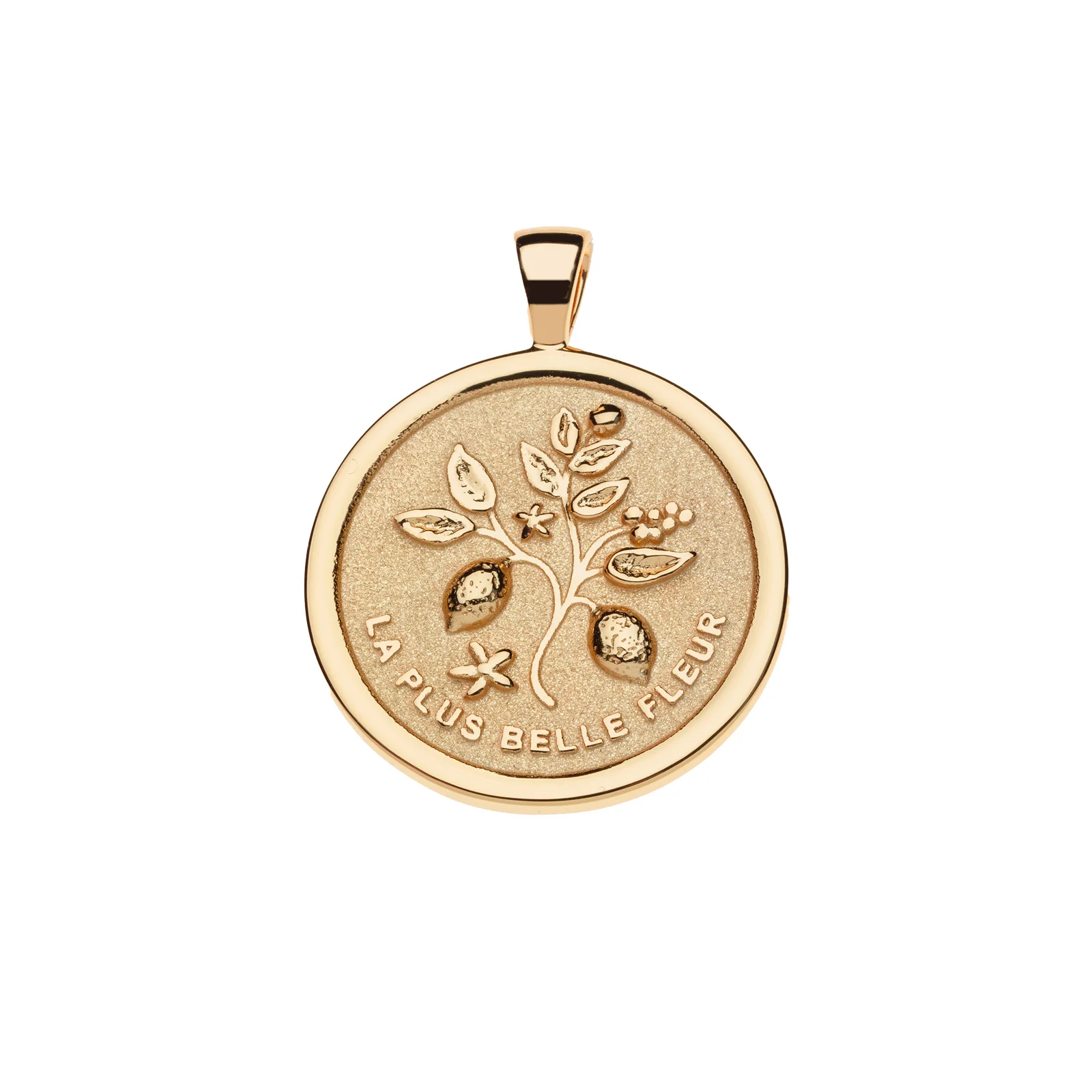GRATITUDE JW Original Pendant Coin