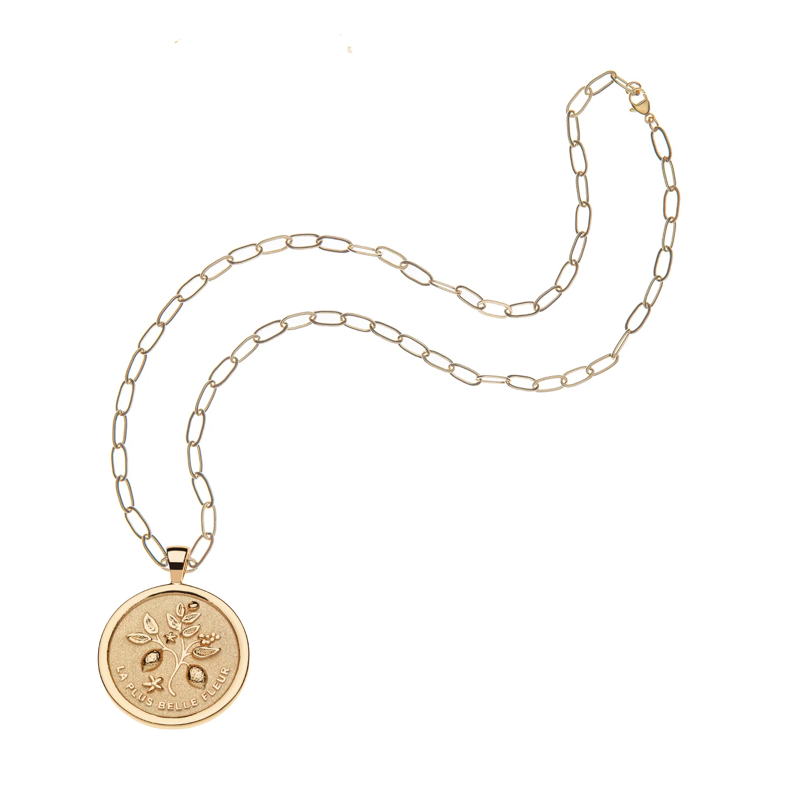 GRATITUDE JW Original Pendant Coin - Image 5