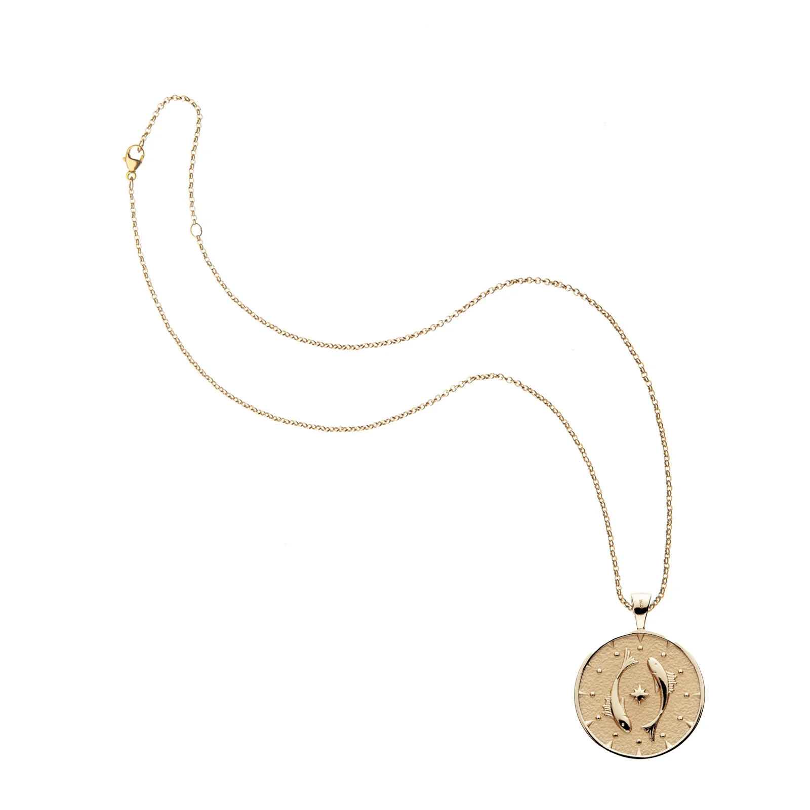 PISCES JW Zodiac Pendant Coin - Feb 19 - Mar 20 - Image 7