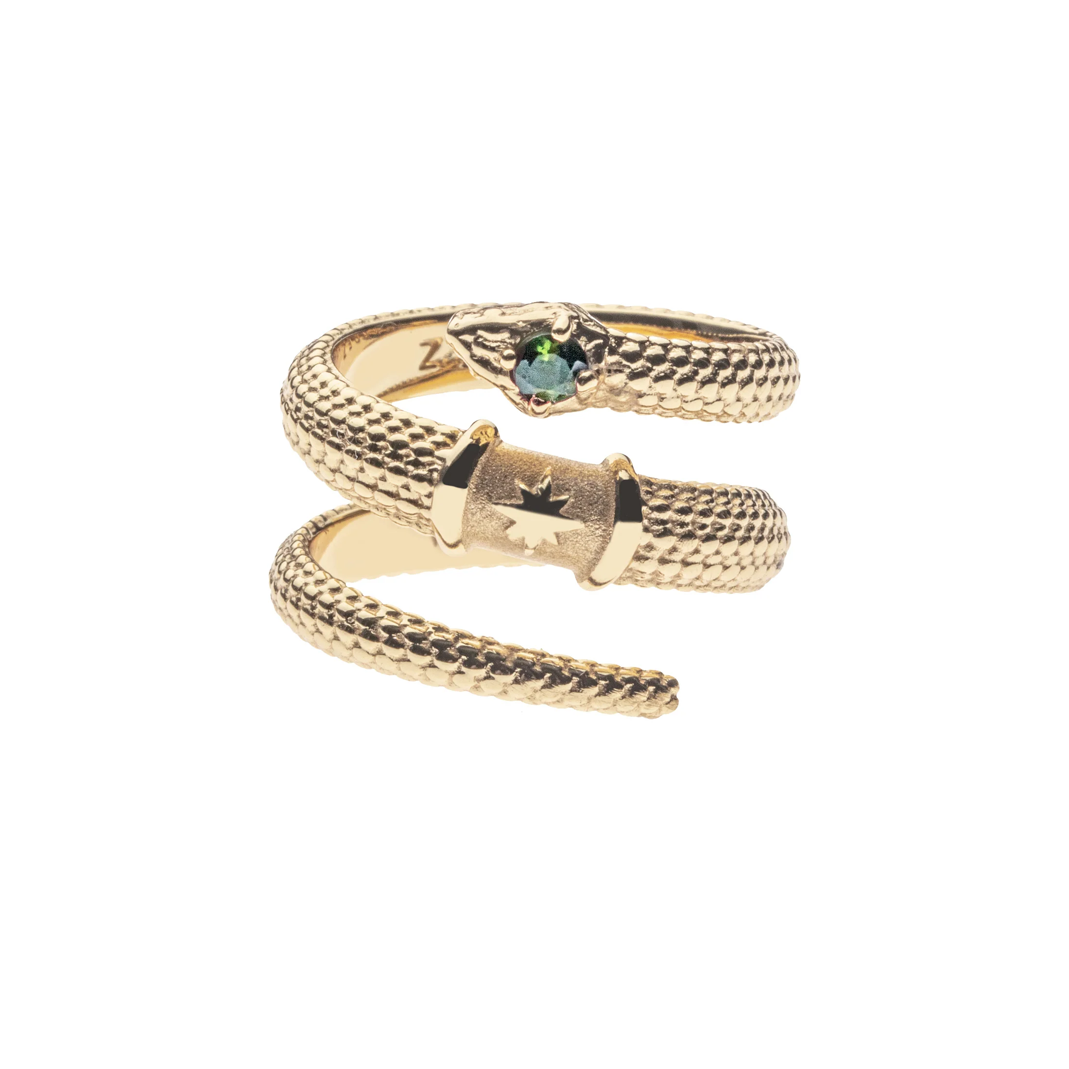 PROTECT Snake Coil Ring