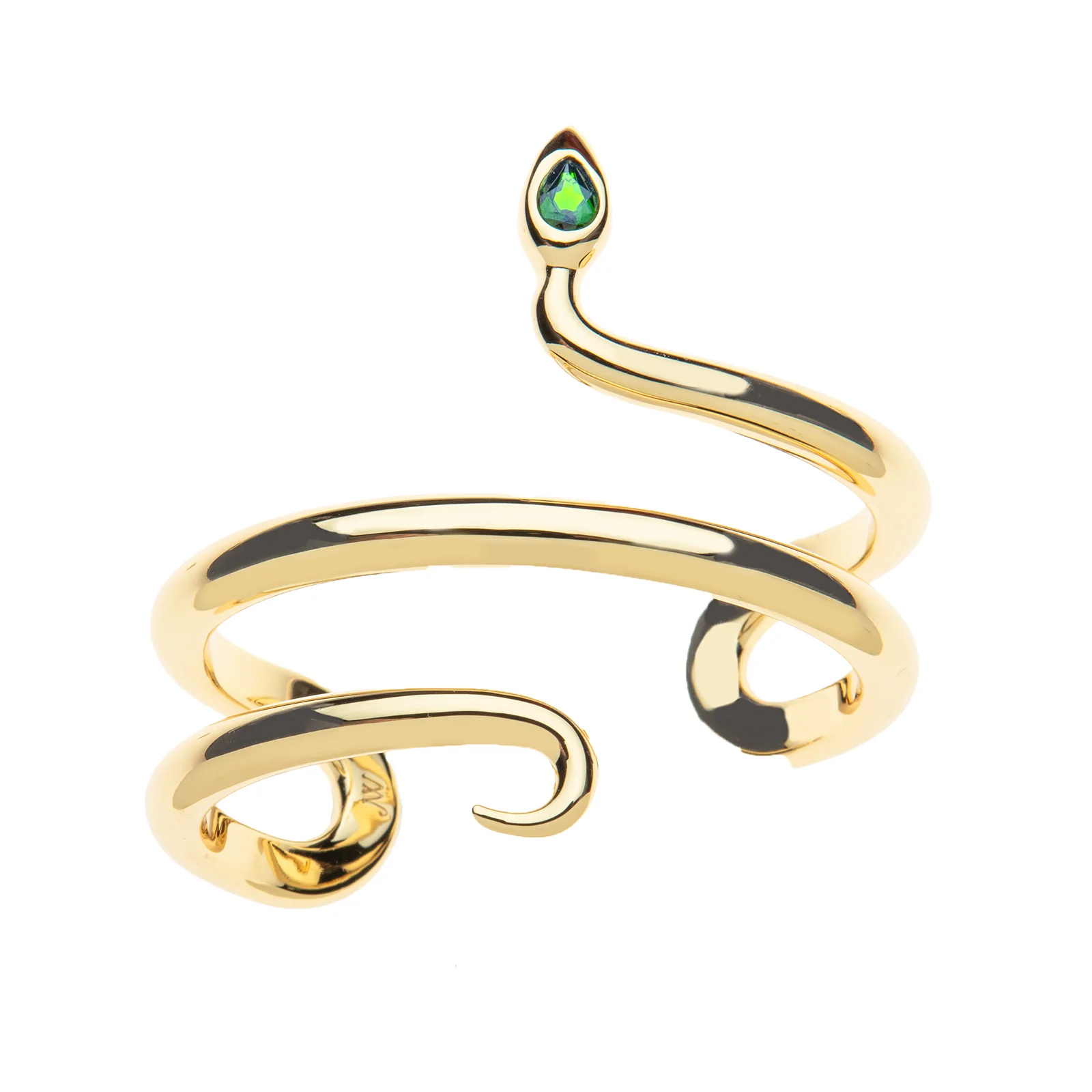 PROTECT Snake Cuff